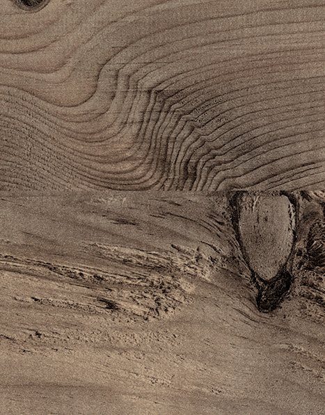Forest 4134 WH Rusztikus fenyő – dekorminta