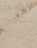Forest 9893 Sand mohave matt – dekorminta
